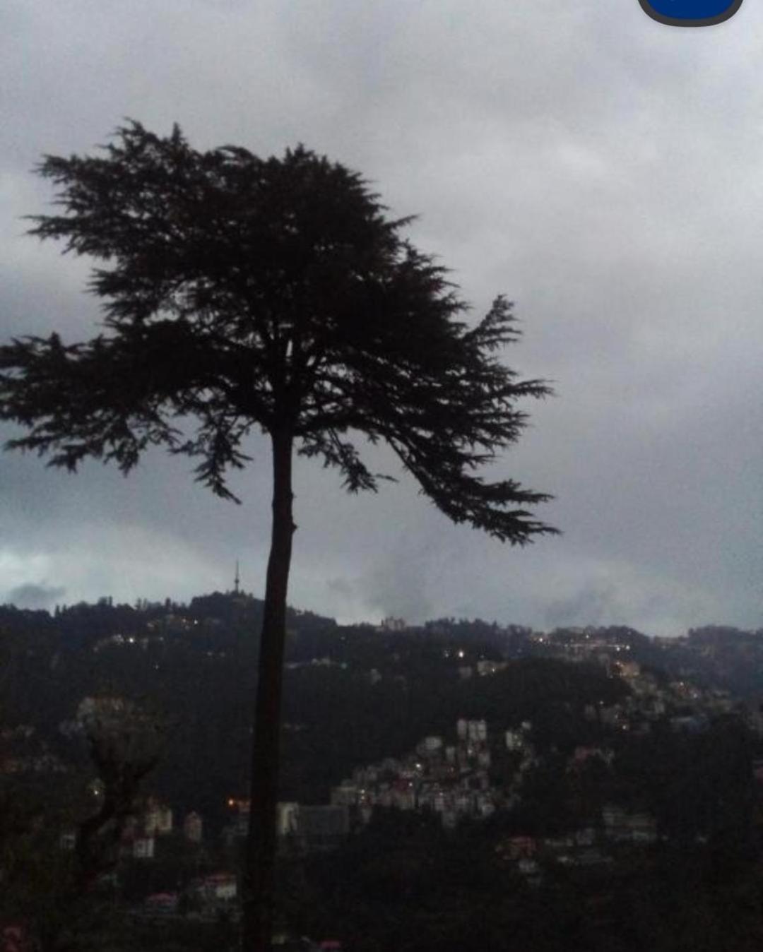 Keshav Niwas Homestay Shimla Exterior photo